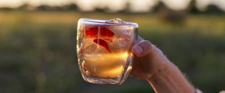 Infusiones en agua fría