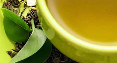 ¿QUÉ ES EL TÉ VERDE? ¿QUÉ ES EL TÉ VERDE?