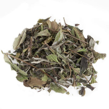 Pai Mu Tan Eco White Tea