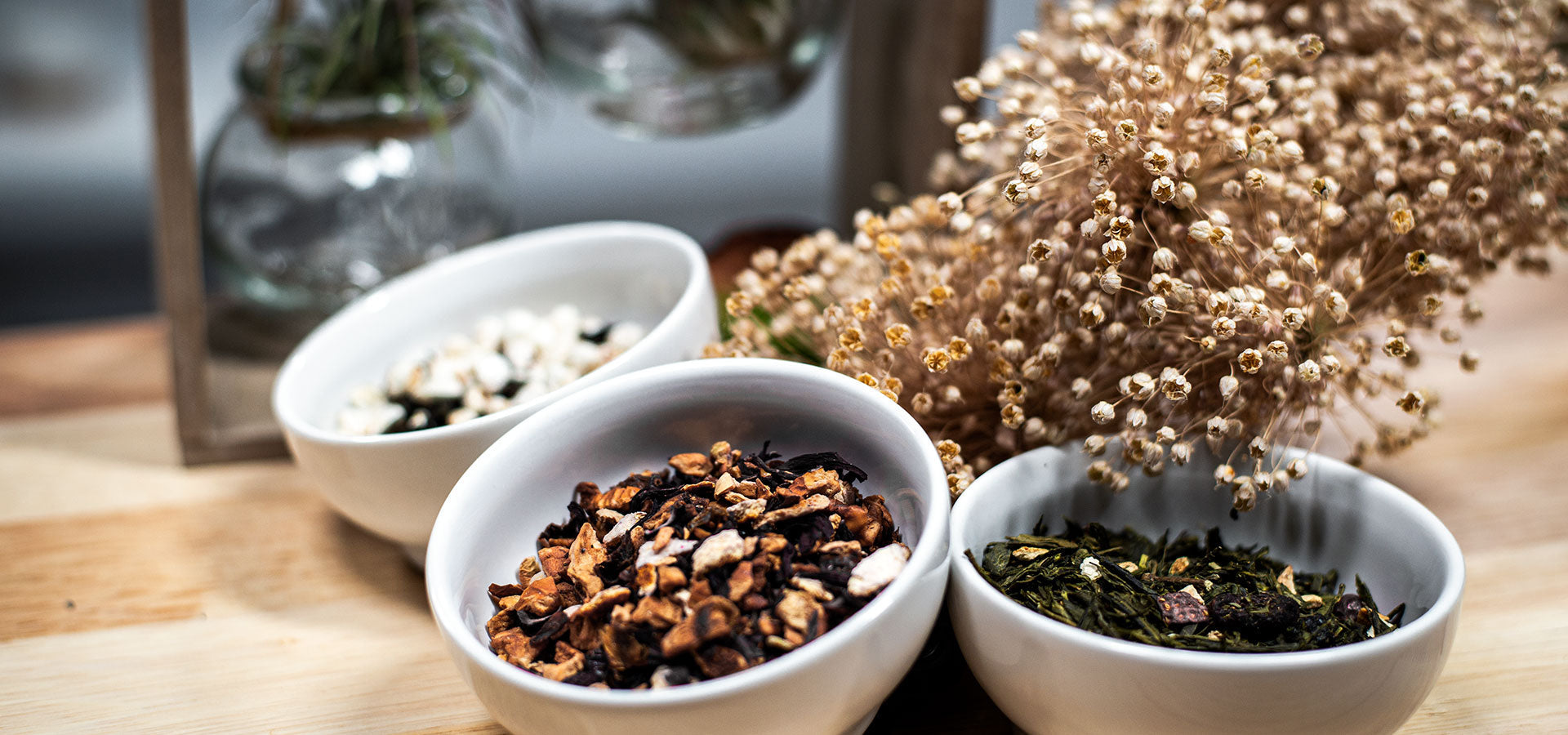 🌿 Plantas medicinales: la sabiduría natural al servicio de tu bienestar