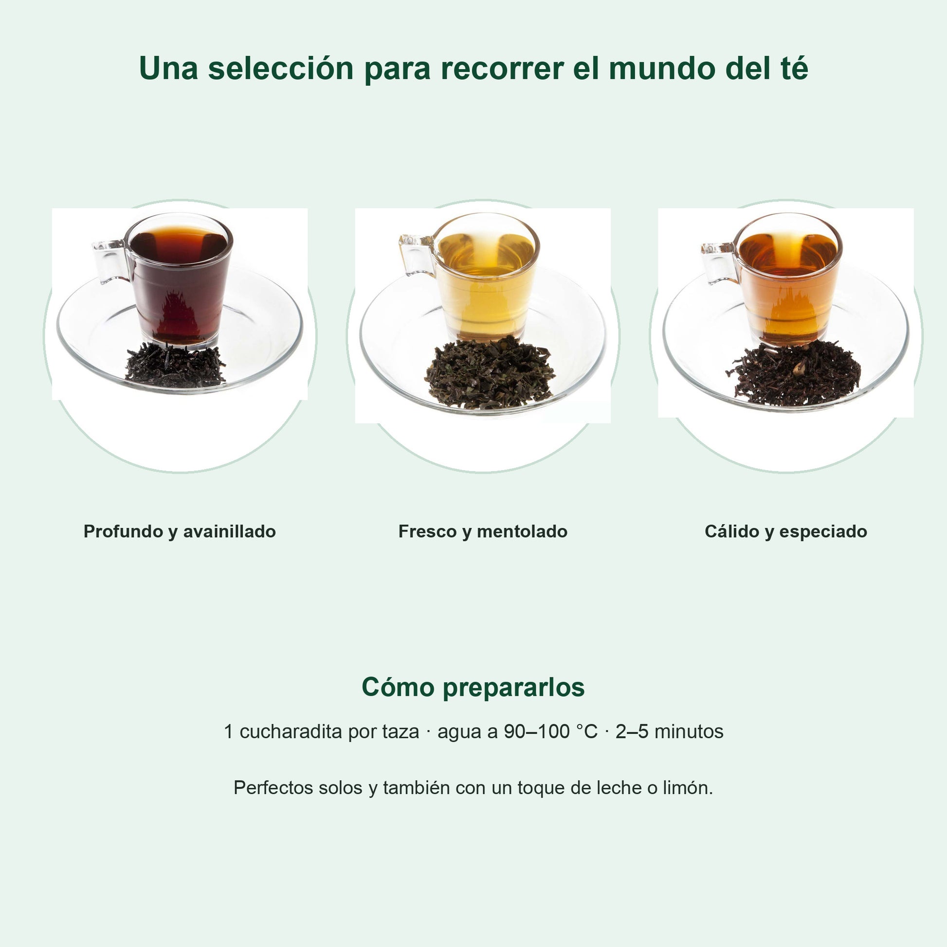 Perfiles de sabor y preparación del pack de tés