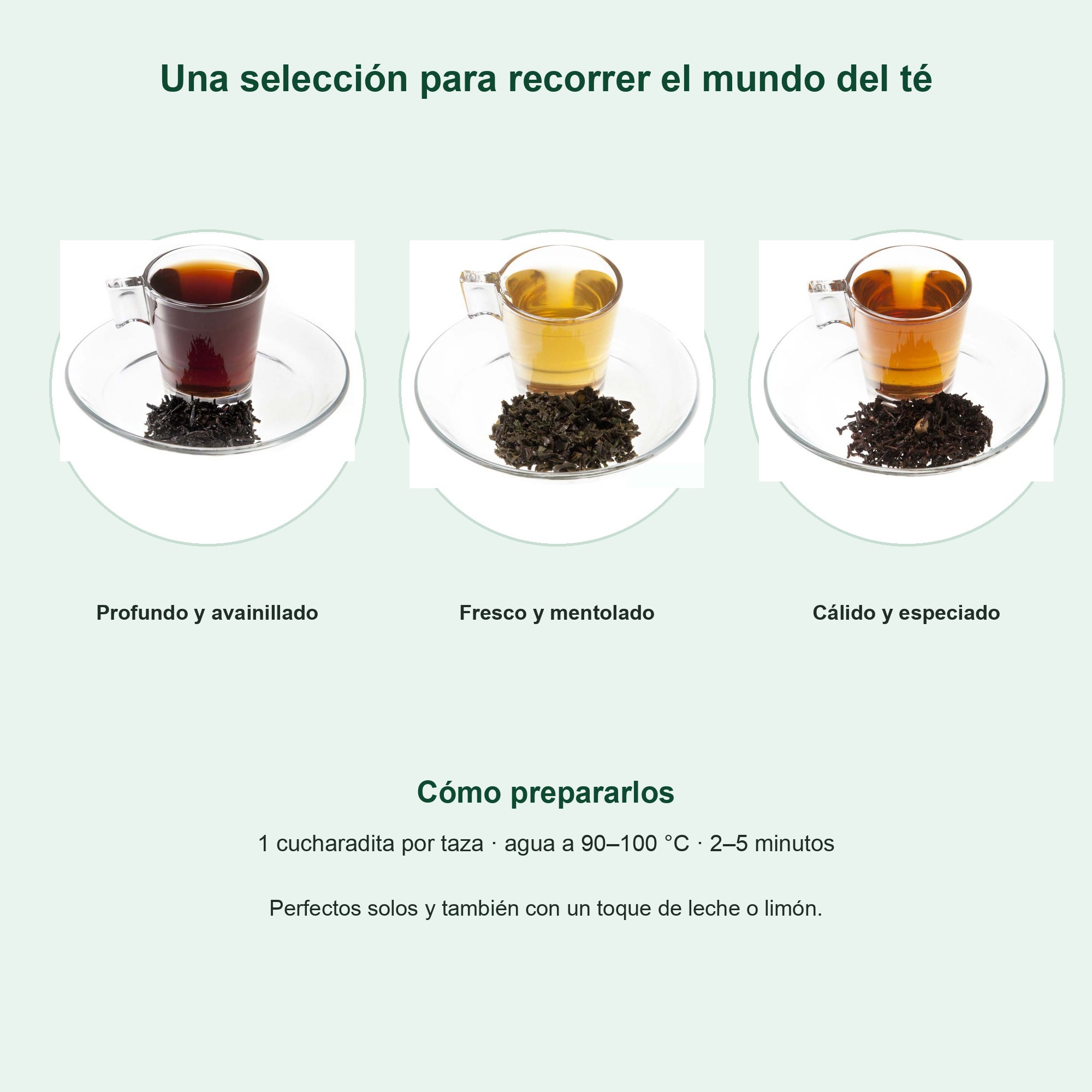 Perfiles de sabor y preparación del pack de tés
