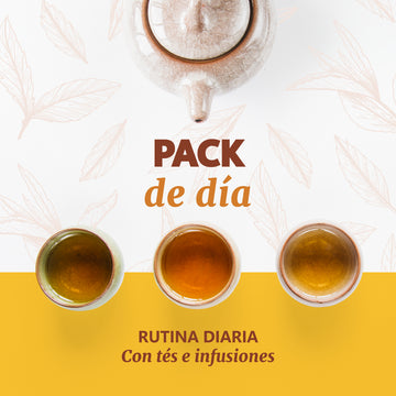 Day Pack